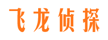 乐业调查事务所